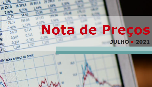 Ecrã de portátil com gráficos e do lado direito contém o título da publicação
