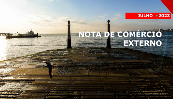 Cais das colunas em Lisboa (Terreiro do Paço). Ao fundo o cais dos barcos e uma gaivota a voar em primeiro plano.