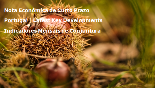 Ouriços da castanha caídos no chão.