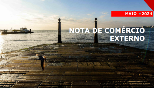 Cais das colunas em Lisboa (Terreiro do Paço). Ao fundo o cais dos barcos e uma gaivota a voar em primeiro plano.
