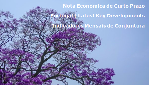 Copa de árvore jacarandá sob o céu azul