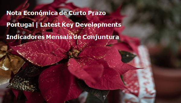 Flor do Natal (Poinsettia)