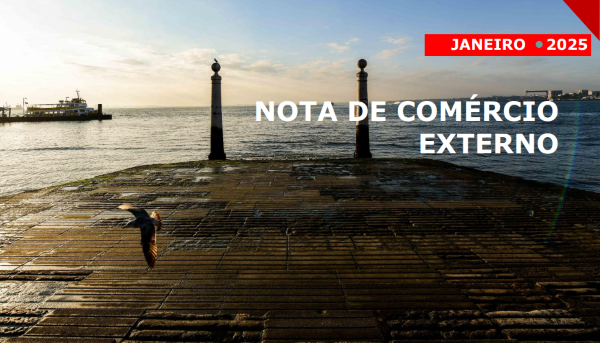 Cais das colunas em Lisboa (Terreiro do Paço). Ao fundo o cais dos barcos e uma gaivota a voar em primeiro plano.
