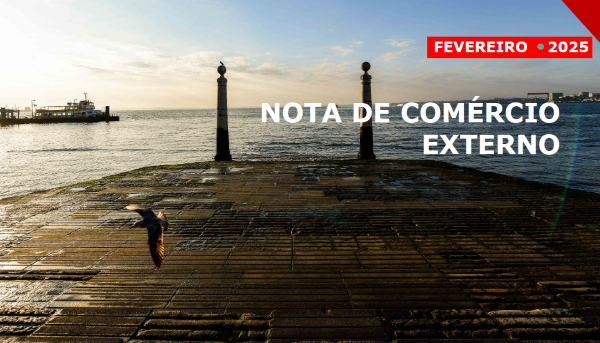 Cais das colunas em Lisboa (Terreiro do Paço). Ao fundo o cais dos barcos e uma gaivota a voar em primeiro plano.