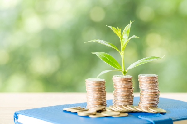 Moedas empilhadas com uma planta em cima de bloco de notas