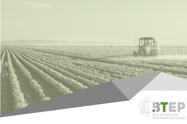 Máquina agrícola em campo cultivado.