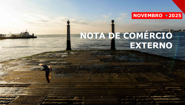 Cais das colunas em Lisboa (Terreiro do Paço). Ao fundo o cais dos barcos e uma gaivota a voar em primeiro plano.